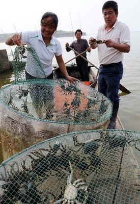 特色水產養殖帶動農民致富
