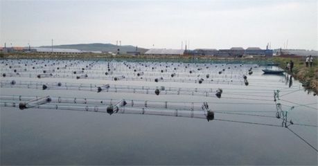 廠家優供養殖網箱,各類網箱,養殖扇貝、海參等水產