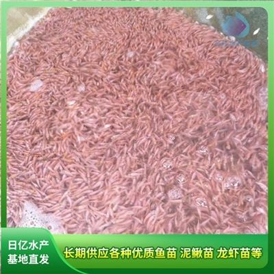 產(chǎn)品圖片_廣州市花都區(qū)赤坭日億水產(chǎn)魚苗養(yǎng)殖場