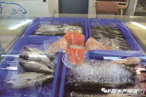 以色列工業(yè)化水產(chǎn)養(yǎng)殖一覽