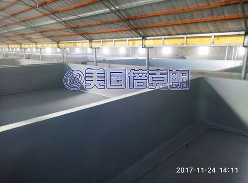 美國倍克朗聯(lián)手水產(chǎn)上市公司 金盛水產(chǎn)打造養(yǎng)殖漆示范基地