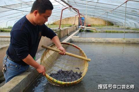 這些大學專業真的存在 葡萄干晾曬 水產養殖 你聽過幾個