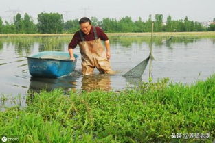 投資水產(chǎn)養(yǎng)殖,這些風(fēng)險你得規(guī)避