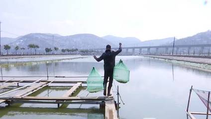 浦口區星甸街道:疫情防控農業生產兩不誤