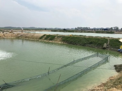 水產養殖用什么鈣