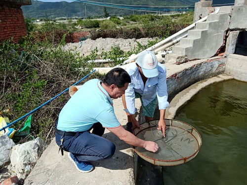 南海所專家助力三亞水產養殖復產穩產