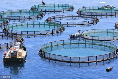 水產養殖5大商業模式,每一個模式國家都扶持
