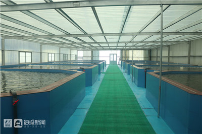 淄博市畜牧漁業服務中心積極開展科技下鄉活動