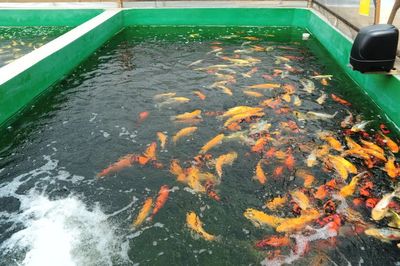 百企連百村 | 松江:沒有圍墻的“園區”,如何以高起點開拓鄉村產業振興新局面