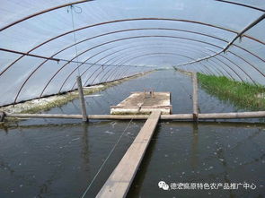 云南德宏州農業局組織技術團隊赴上海學習特種水產養殖成效明顯