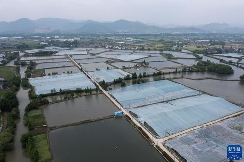 浙江湖州 水產養殖育苗忙