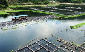 浙江省水產養殖污染防治規范 來了 哪些地方禁養,如何限養都有說明