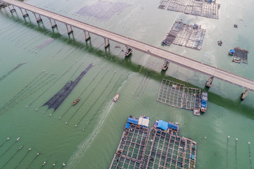 水產養殖,網箱養魚