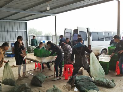 陽新一單位入選國家級水產健康養殖和生態養殖示范區