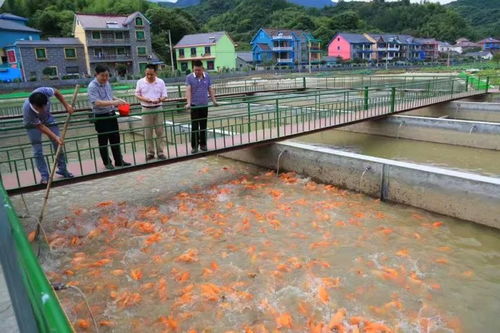 漁業轉型促治水 生態高效展新顏