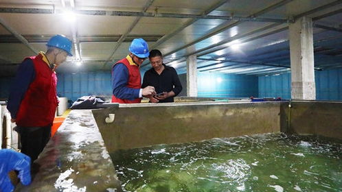 浙江舟山 海島水產養殖的 科技范兒