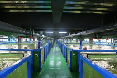 國家補貼行業 國家支持!數字農業和農村建設項目補貼大全,涉及農業全產業鏈項目