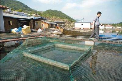 從1000戶網(wǎng)箱縮減到20戶,您看懂形勢了嗎?浙江水產(chǎn)未來在哪?