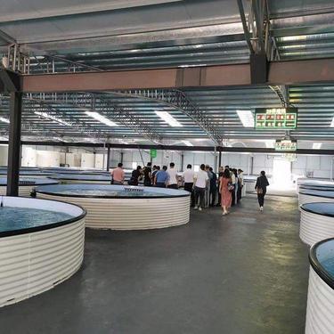 當陽錦益漁業(yè)