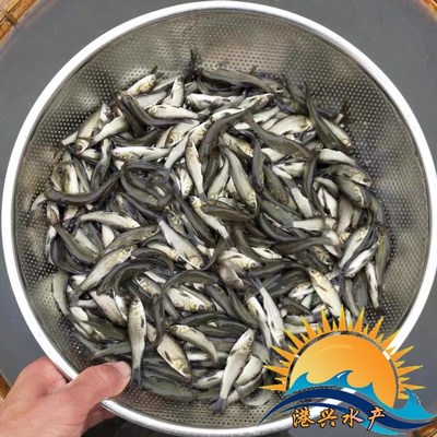 清遠市清城區(qū)港興水產養(yǎng)殖場