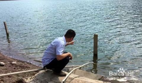 在水產養殖中,如何進行疾病的預防