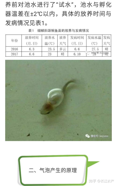 工廠化循環水水產養殖