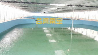 工廠化水產養殖及水泥池涂刷水產養殖漆的作用