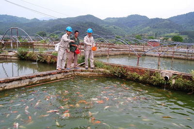 福建建甌供電公司架專線助水產養殖戶增收致富_水產快訊(水產養殖)_中國水產養殖網