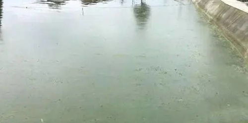 漁有福 冬季水產養殖管理技術