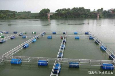 溫度降低水產養殖要注意,增加水里的含氧量,定期注入新水