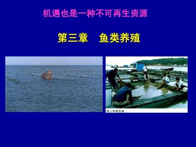 3.1 水產養殖概論-魚類養殖-魚你相約PPT