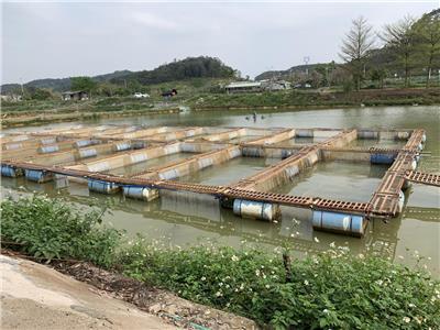 活禽/水產品