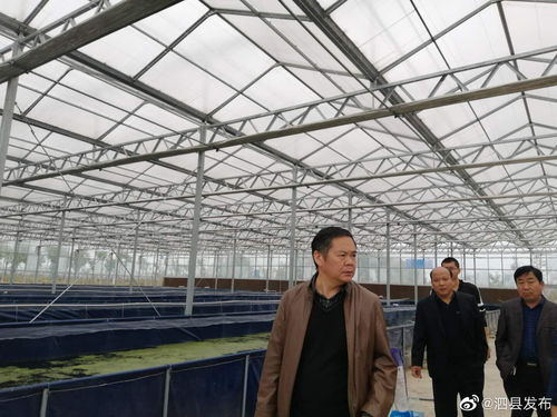 安徽宿州泗縣畜牧水產中心領導班子開展工廠化水產養殖專題調研