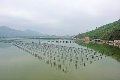 水產養殖場