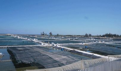 漫談 | 五個新型水產養殖模式,你適合哪個?