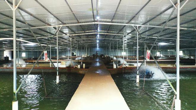 崇義:一條鰻魚游出了增收致富路|養殖場|魚池|水產_網易訂閱
