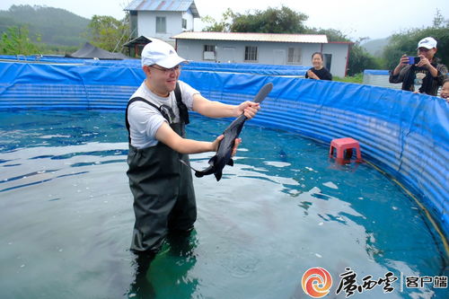 南寧市武鳴區蘇宮村水產養殖助增收
