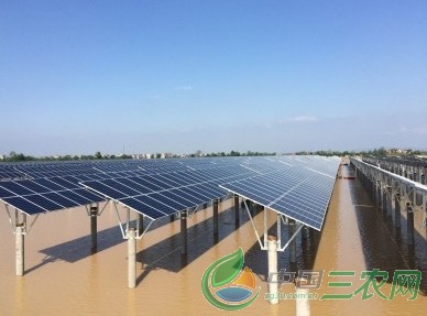轉型升級革命 清潔能源 水產養殖