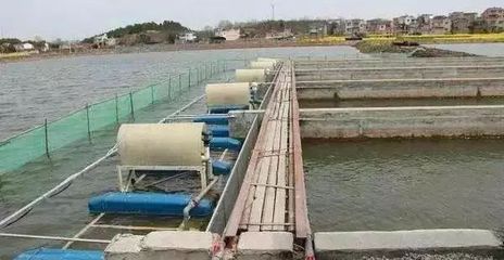 【獨家】水產轉折,傳統養殖戶我們怎么辦?