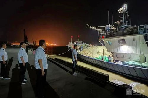 市海洋發展和漁業局嚴格執法確保濱州市2020年毛蝦專項捕撈工作順利開展